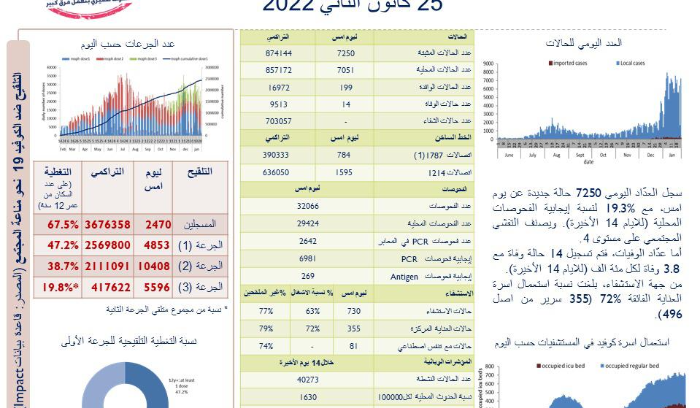 تقرير 25 كانون الثاني